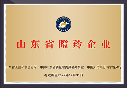 山东省瞪羚企业