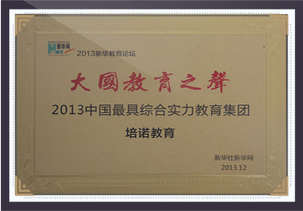 2013最具综合实力教育集团